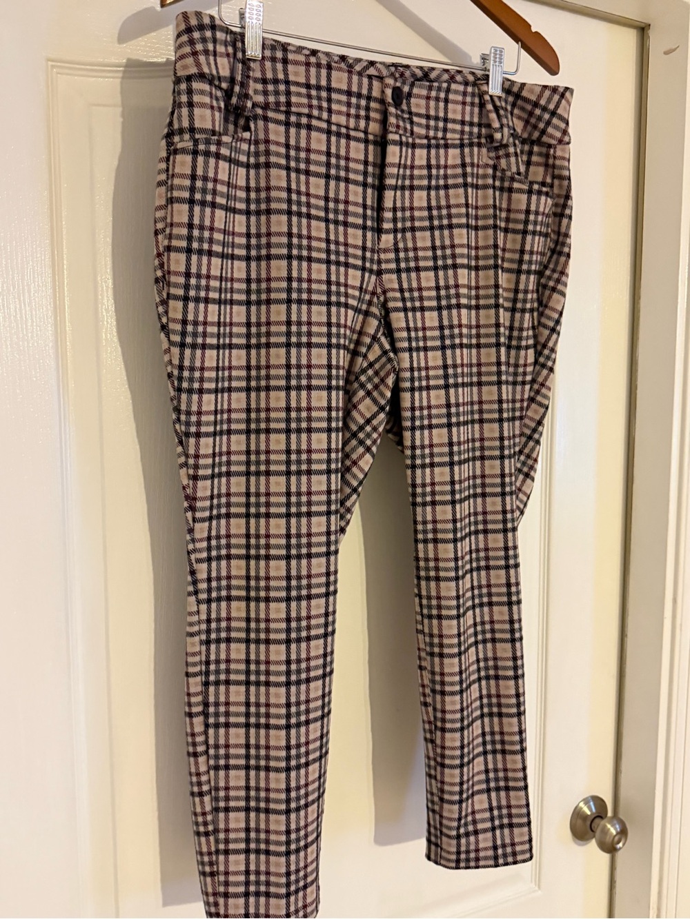 torrid Beige Plaid Chinos with Black & Burgundy Windowpane